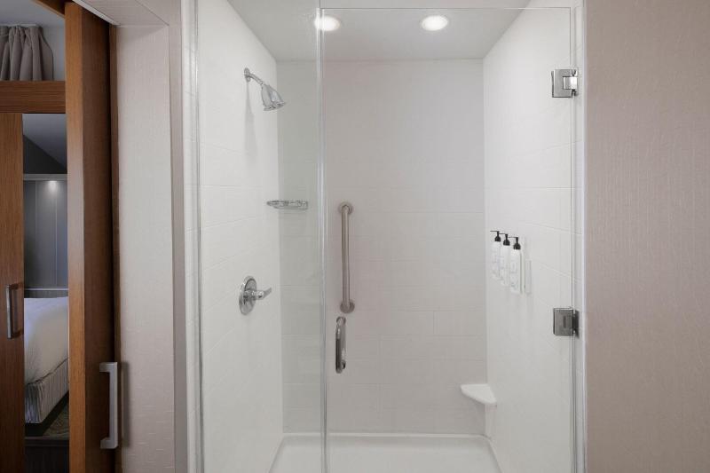 Студио Стандарт Кровать Кинг, Springhill Suites By Marriott San Angelo