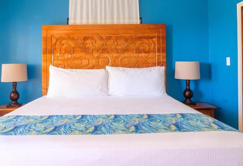 اتاق استاندارد با چشم‌انداز باغ, The Westender Inn
