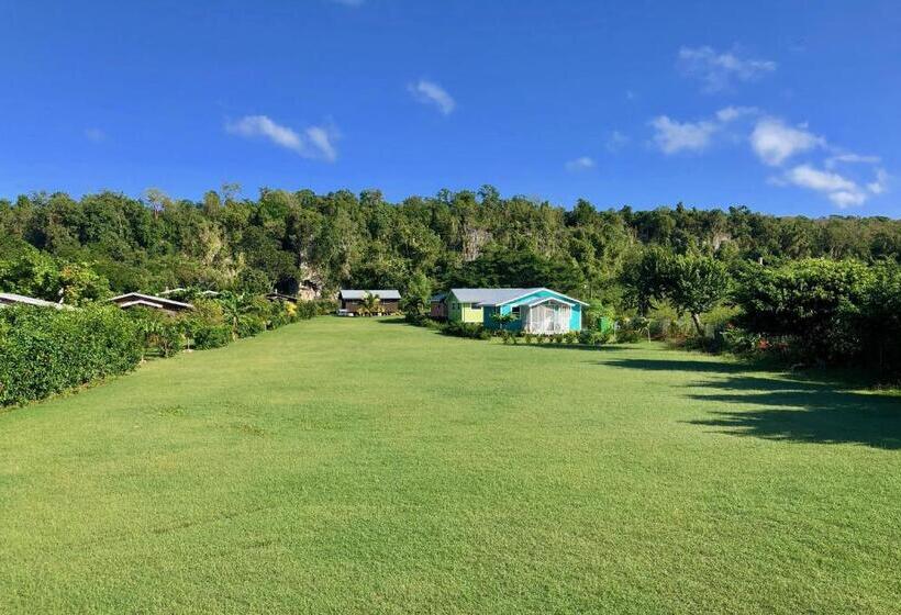 خانه 1 خوابه, The Westender Inn