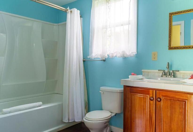 خانه 1 خوابه, The Westender Inn