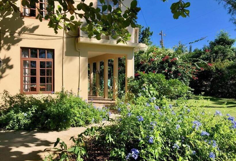 سوییت با چشمانداز باغ, The Westender Inn