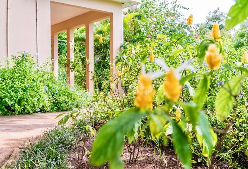 سوییت با چشمانداز باغ, The Westender Inn