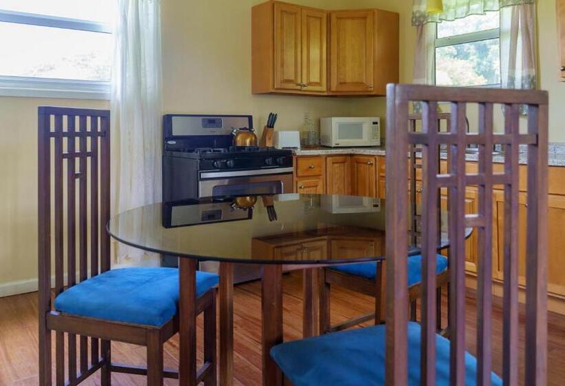 خانه 1 خوابه, The Westender Inn