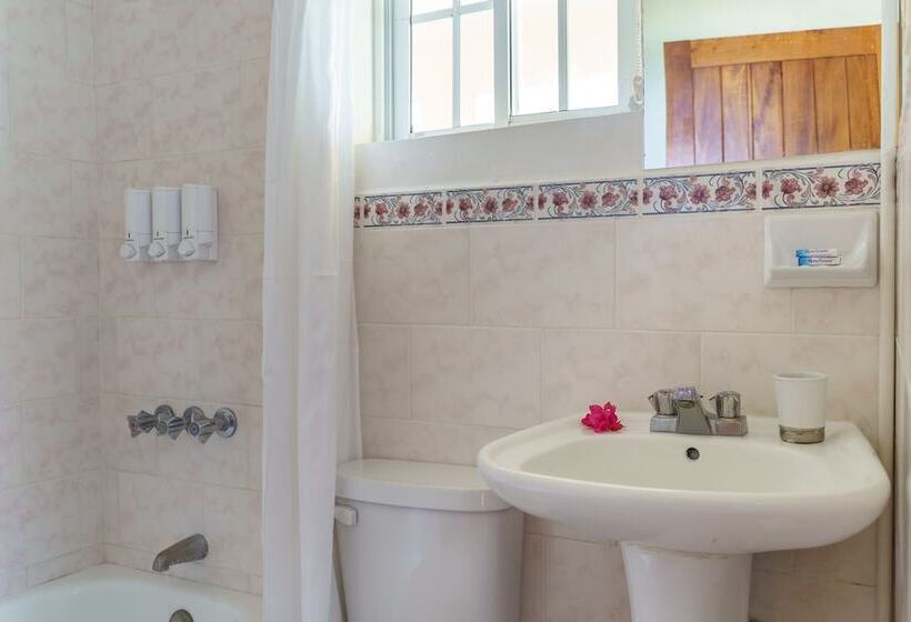 اتاق استاندارد با چشمانداز باغ, The Westender Inn