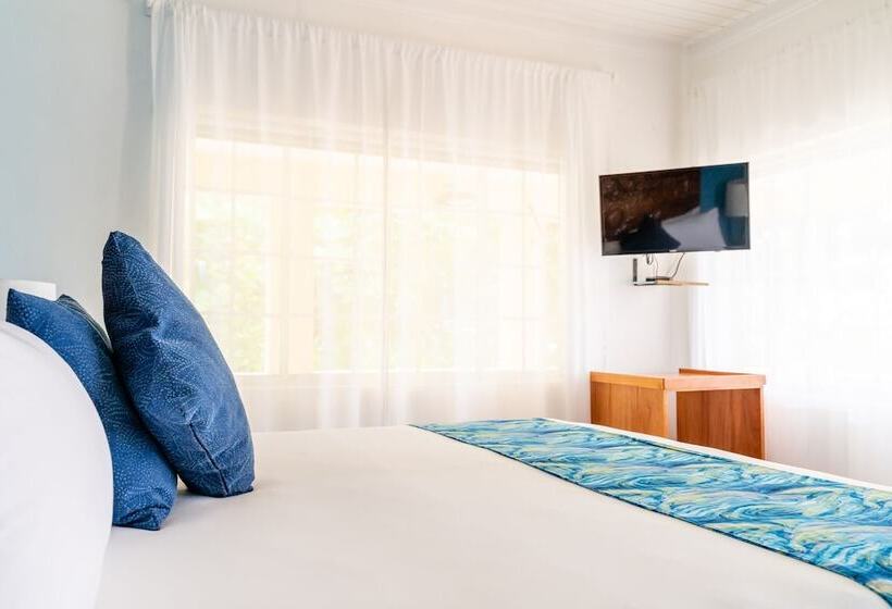 اتاق پرمیوم با چشمانداز دریا, The Westender Inn