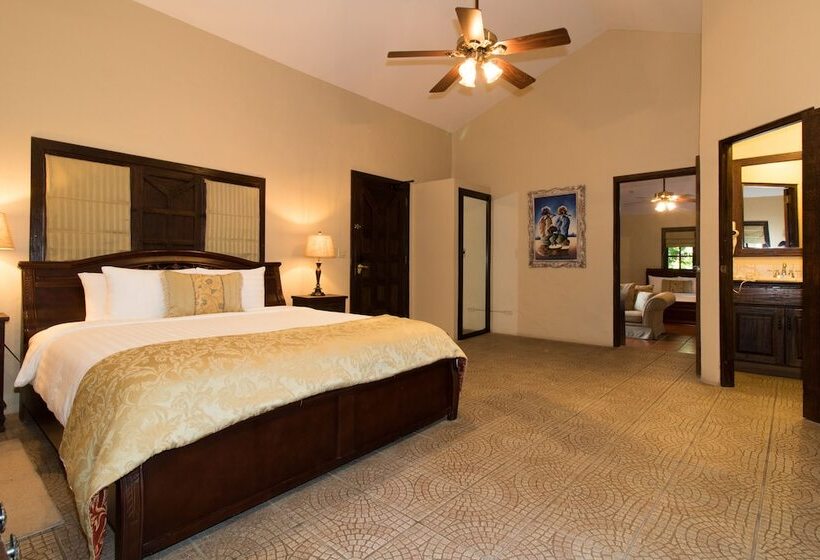 주니어 스위트, Valle Escondido Wellness Resort