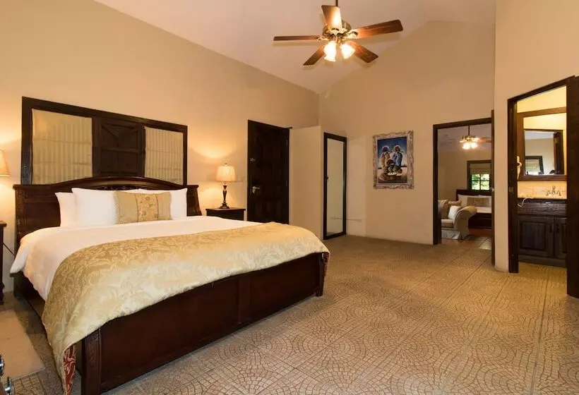ジュニアスイート, Valle Escondido Wellness Resort