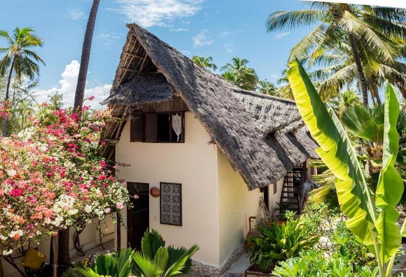 스탠다드 룸, Zoi Beach House