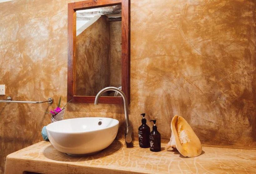 가든 전망 주니어 스위트, Zoi Beach House