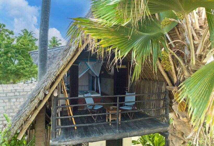 스탠다드 룸, Zoi Beach House