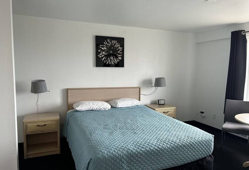 חדר סטנדרט, Newport Bay Motel