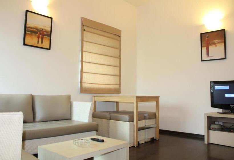 استودیوی استاندارد, Amc Comforts