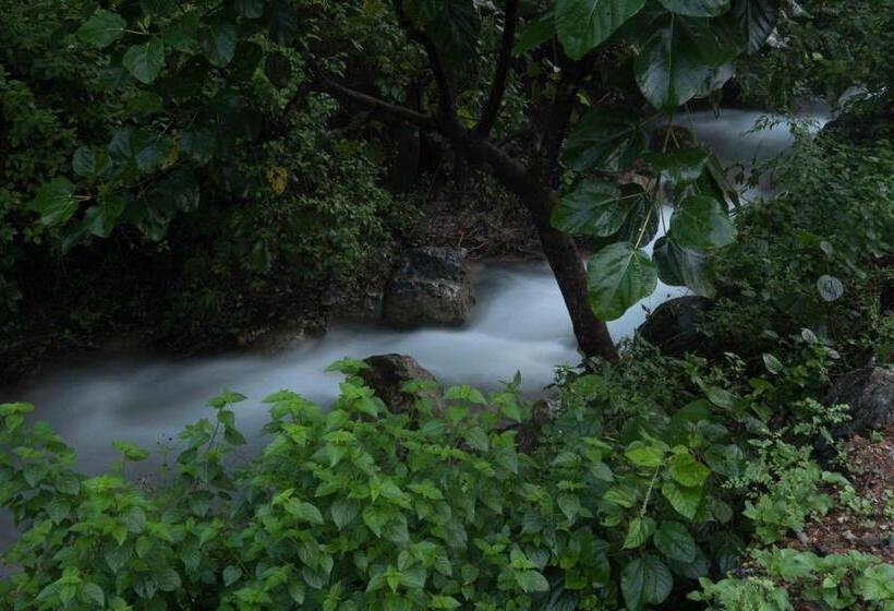 Номер Стандарт Вид на Горы, Rishikesh Valley
