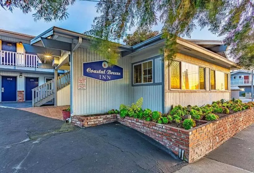 スタンダードルーム, Coastal Breeze Inn
