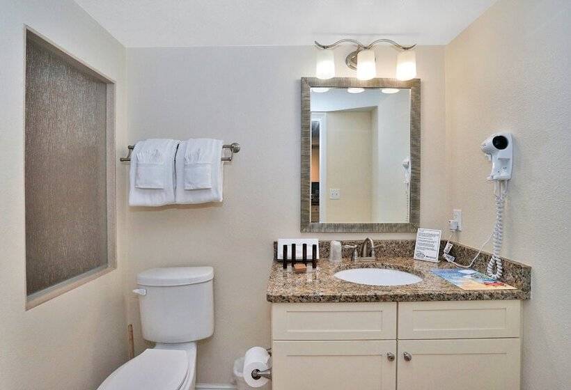 Студия Стандарт, Hollywood Beach Tower