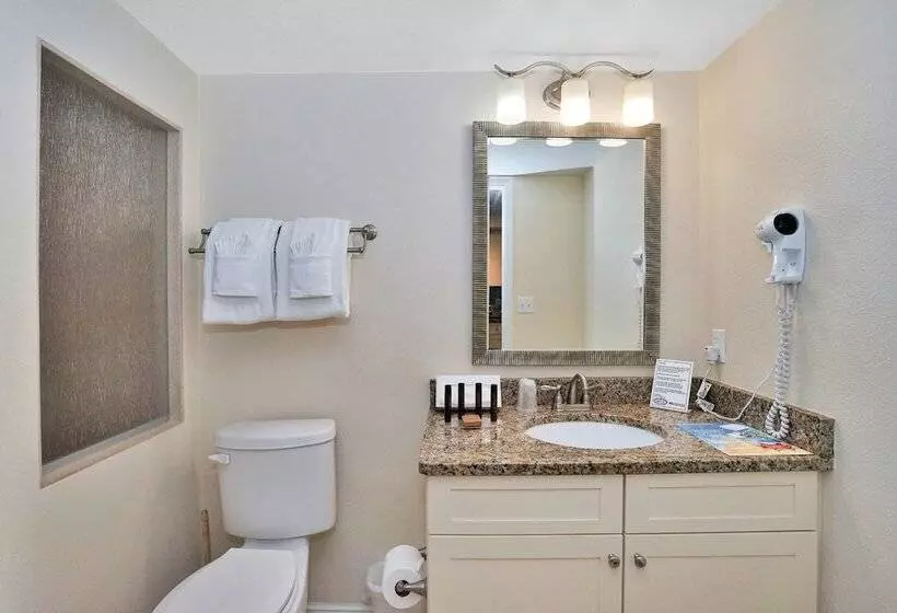 استودیوی استاندارد, Hollywood Beach Tower