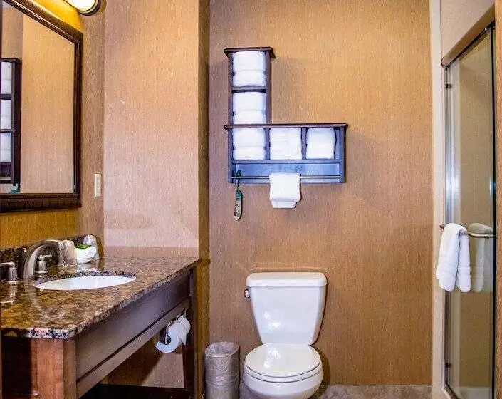 景色の見えるダブルベッドスタンダードルーム, Pier House 60 Clearwater Beach Marina