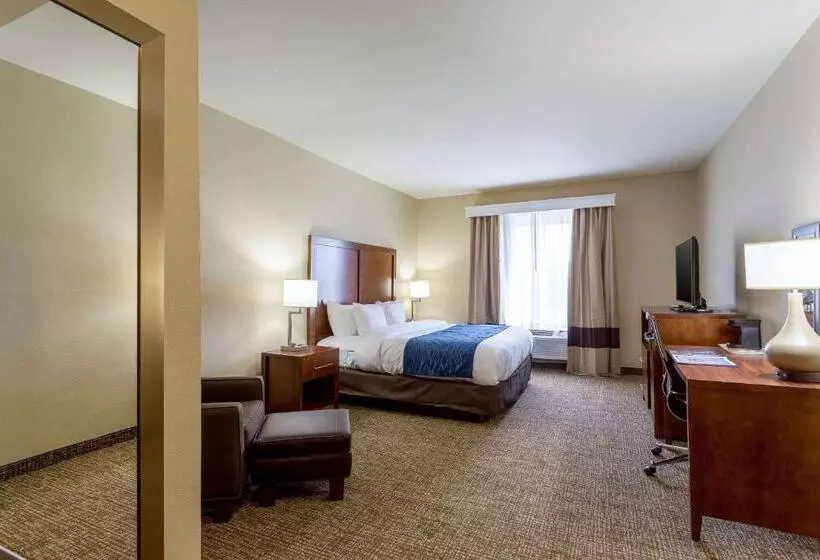 キングサイズベッドのスタンダードルーム, Comfort Inn & Suites Airport