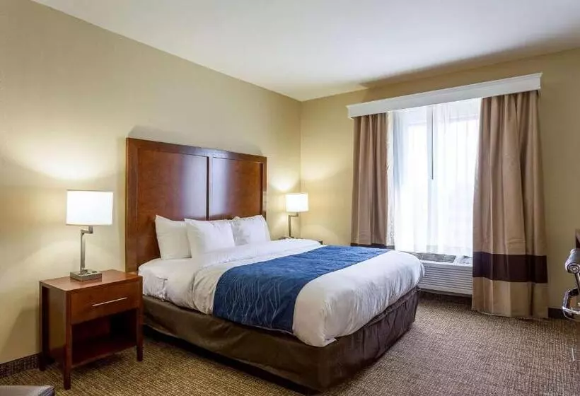 キングサイズベッドのスタンダードルーム, Comfort Inn & Suites Airport
