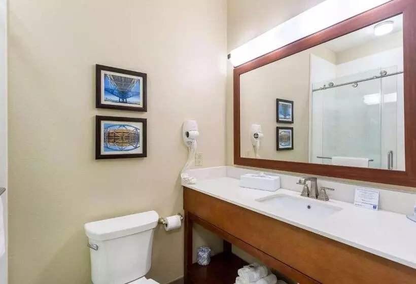 スタンダードルーム, Comfort Inn & Suites Airport