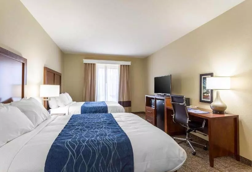 スタンダードルーム, Comfort Inn & Suites Airport