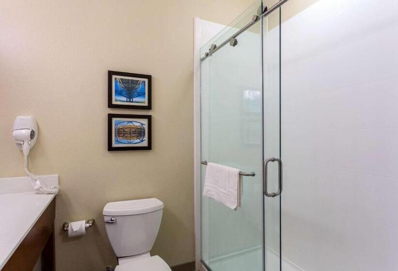 스위트 킹사이즈 침대, Comfort Inn & Suites Airport