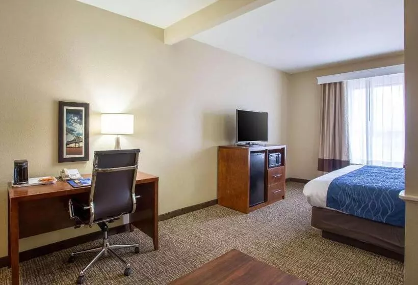 キングサイズベッドのスイートルーム, Comfort Inn & Suites Airport