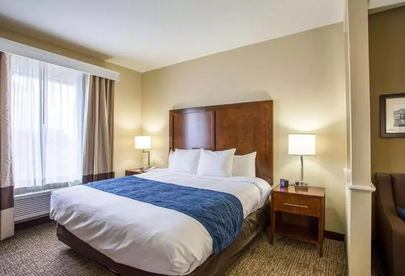 キングサイズベッドのスイートルーム, Comfort Inn & Suites Airport