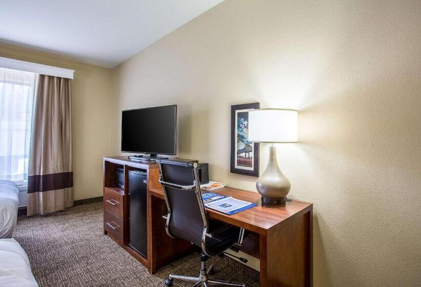 스위트 킹사이즈 침대, Comfort Inn & Suites Airport