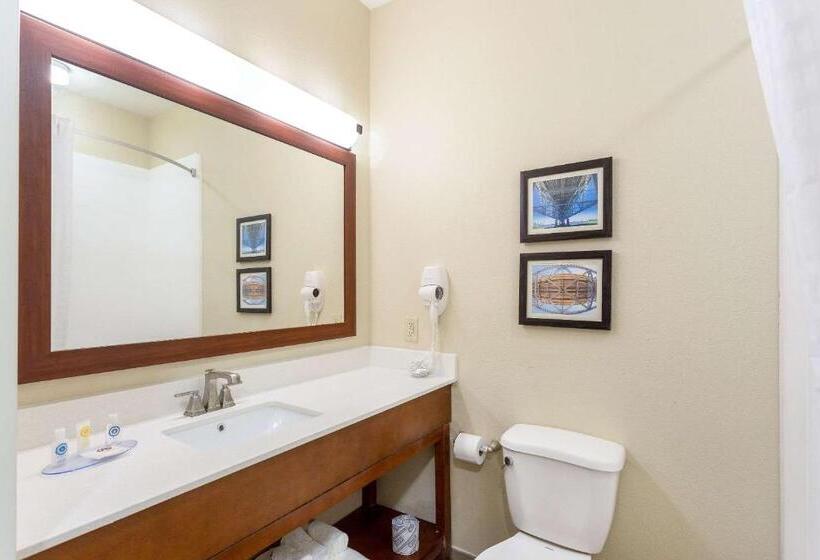 스탠다드 룸 킹사이즈 침대, Comfort Inn & Suites Airport