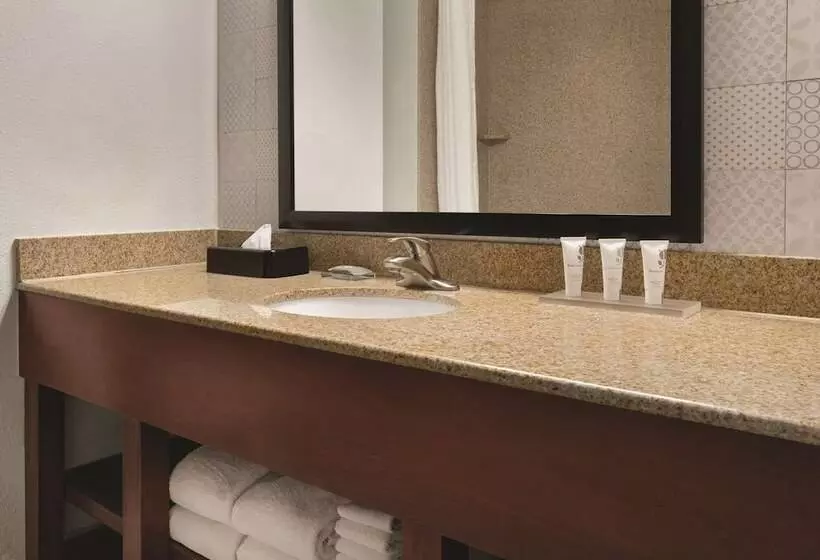 スイート, Country Inn & Suites By Radisson, Madison, Al