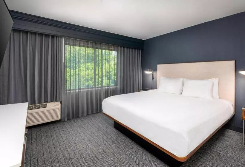 バルコニー付スイート, Courtyard By Marriott Danbury