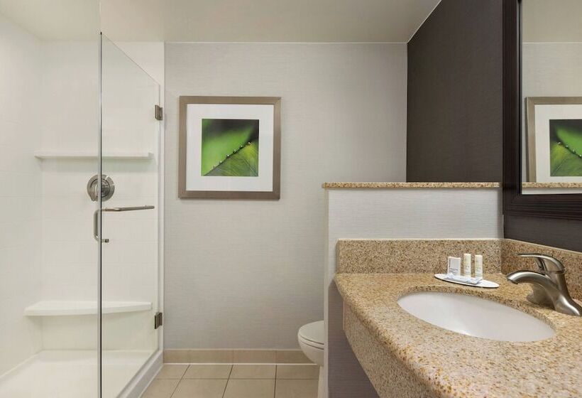 غرفه قياسيه سريرين مزدوجين, Courtyard Greenville