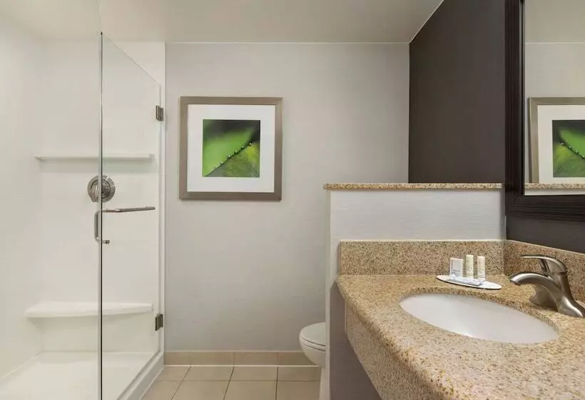 ２ダブルベッドのスタンダードルーム, Courtyard Greenville
