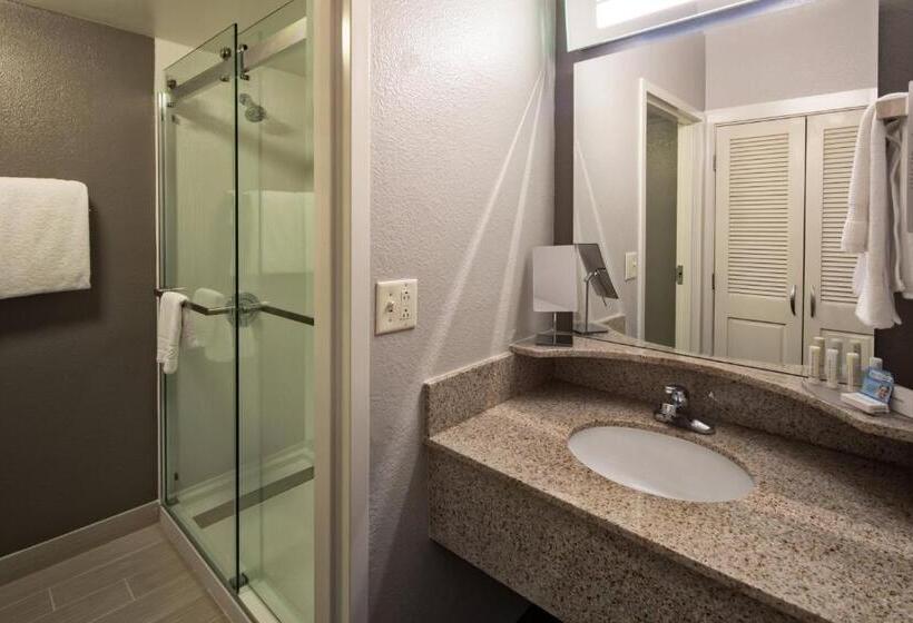 Quarto Estandar Cama King, Courtyard By Marriott Rock Hill