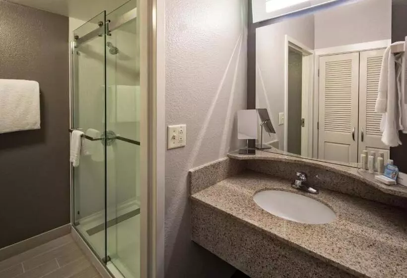 スタンダードルーム, Courtyard By Marriott Rock Hill