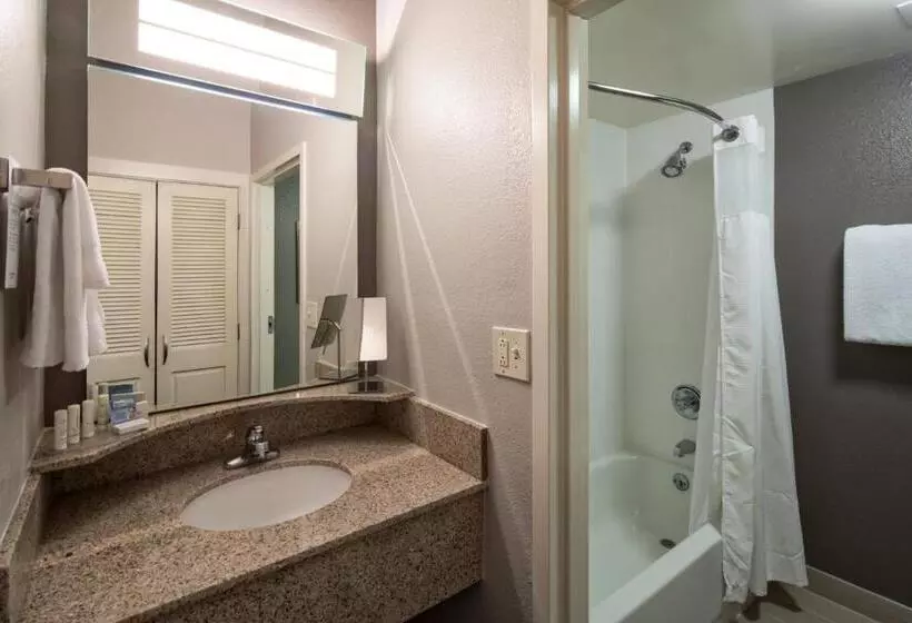 スタンダードルーム, Courtyard By Marriott Rock Hill