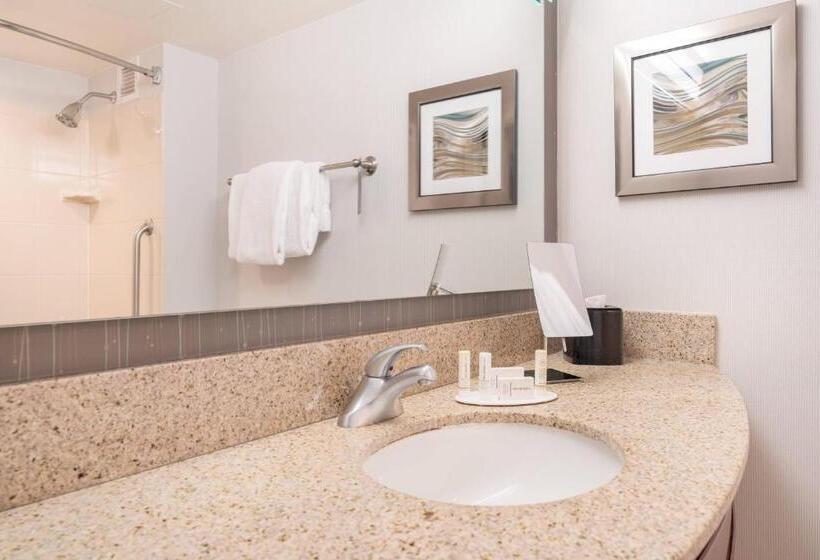 스탠다드 룸 킹사이즈 침대, Courtyard By Marriott Silver Spring Downtown