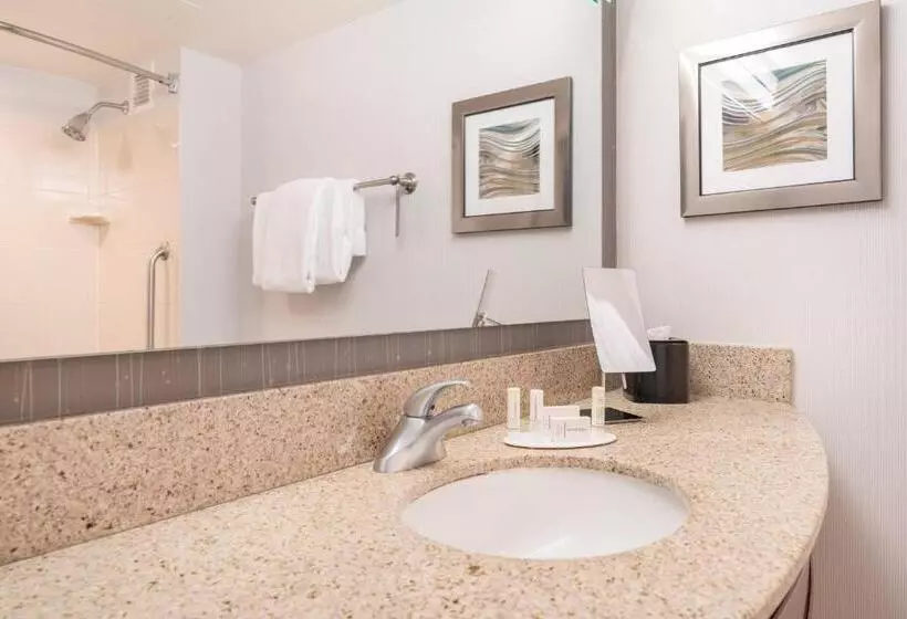 キングサイズベッドのスタンダードルーム, Courtyard By Marriott Silver Spring Downtown