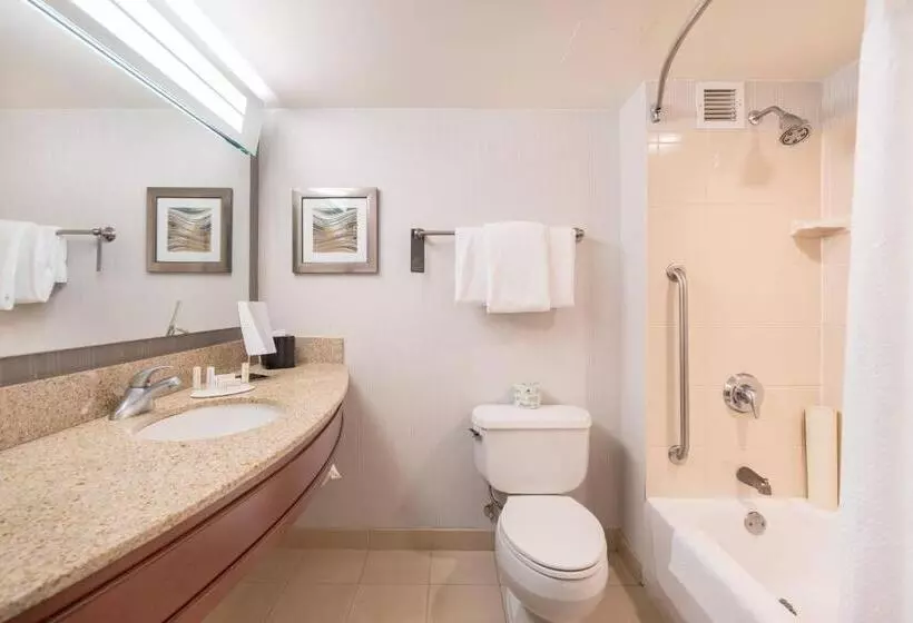 キングサイズベッドのスタンダードルーム, Courtyard By Marriott Silver Spring Downtown