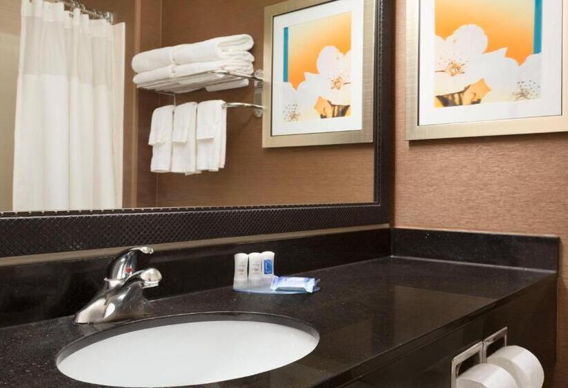 غرفة قياسية سرير كينج, Fairfield Inn & Suites Bismarck South
