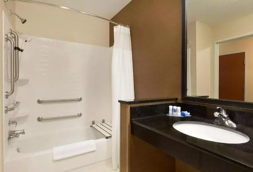 اتاق استاندارد با تخت بزرگ, Fairfield Inn & Suites Bismarck South