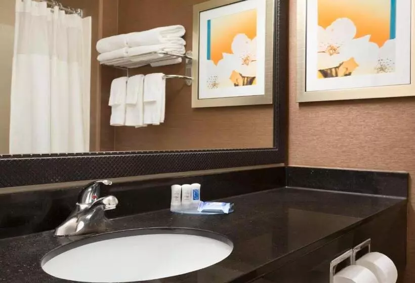 استودیوی استاندارد با تخت دوبل, Fairfield Inn & Suites Bismarck South