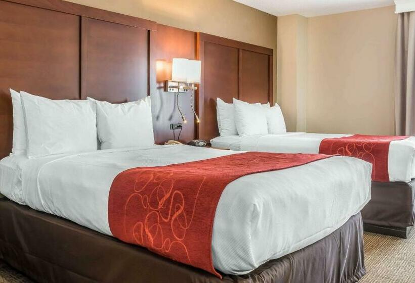 Люкс, Comfort Suites