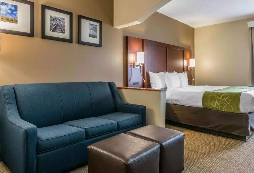 キングサイズベッドのスイートルーム, Comfort Suites