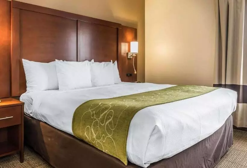 キングサイズベッドのスイートルーム, Comfort Suites