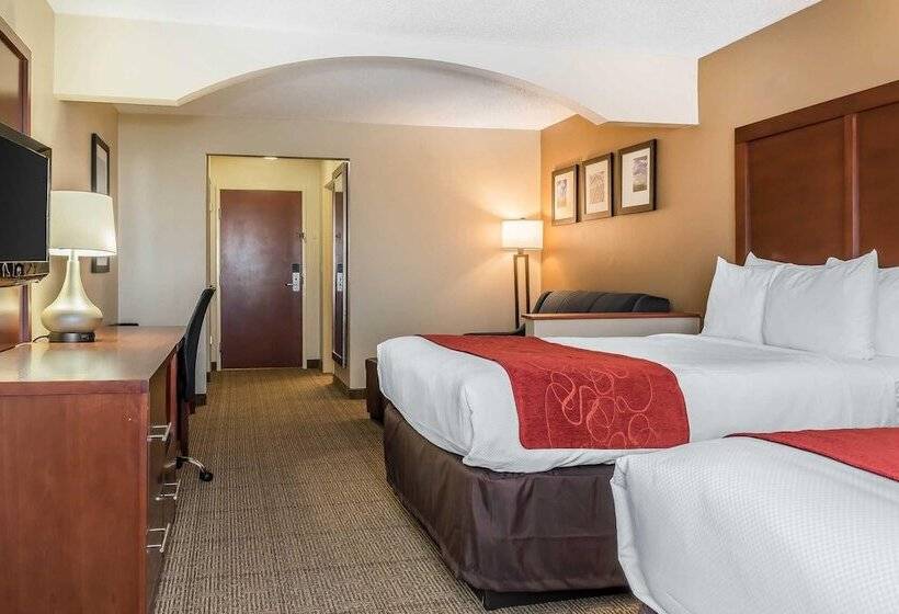 Люкс, Comfort Suites