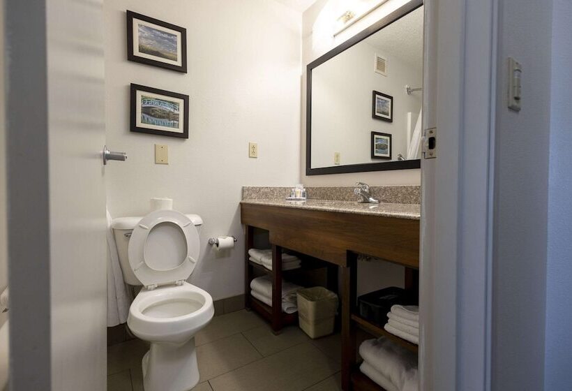 스위트, Comfort Suites