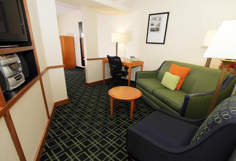 带大床的套房, Fairfield Inn & Suites By Marriott Killeen