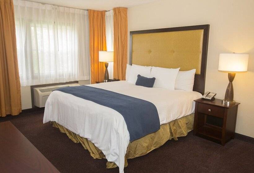 Quarto standard, Ivy Court Inn And Suites